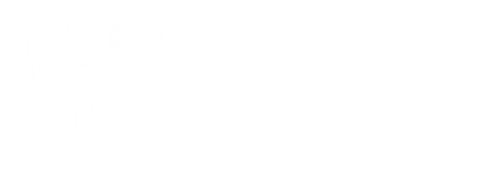 منصة ماهر اسماعيل